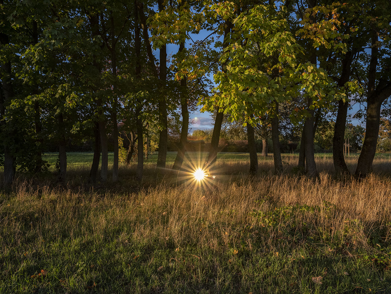 Alt-Bild aus der künstlerischen Arbeit Mission Mars 1989 von Anna Pekala