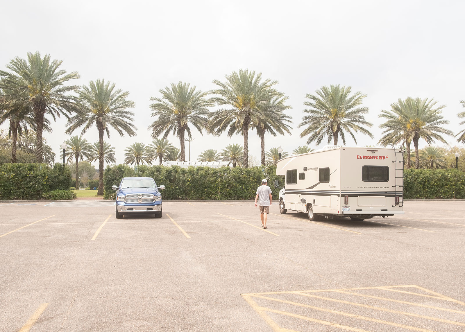 Alt-Bild aus der kuenstlerischen Arbeit Tomek - Wonderland von Anna Pekala